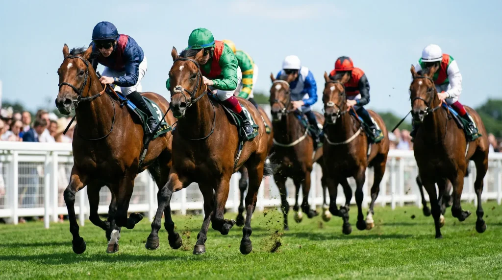 Cavalli al galoppo durante una corsa live con spettatori a bordo pista